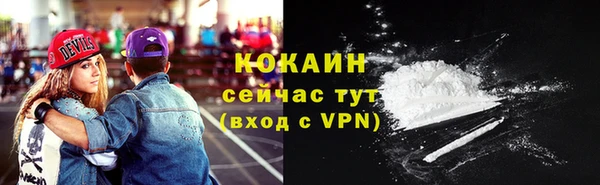 твердый Дмитровск