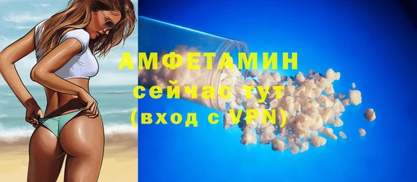 твердый Дмитровск