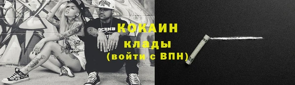 твердый Дмитровск