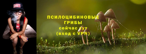 СК Тобольск
