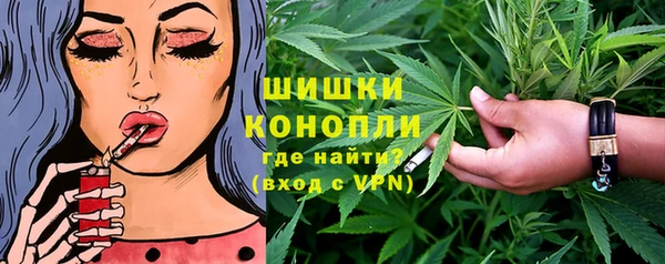 твердый Дмитровск
