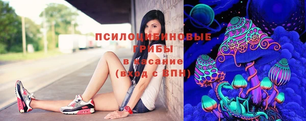 твердый Дмитровск