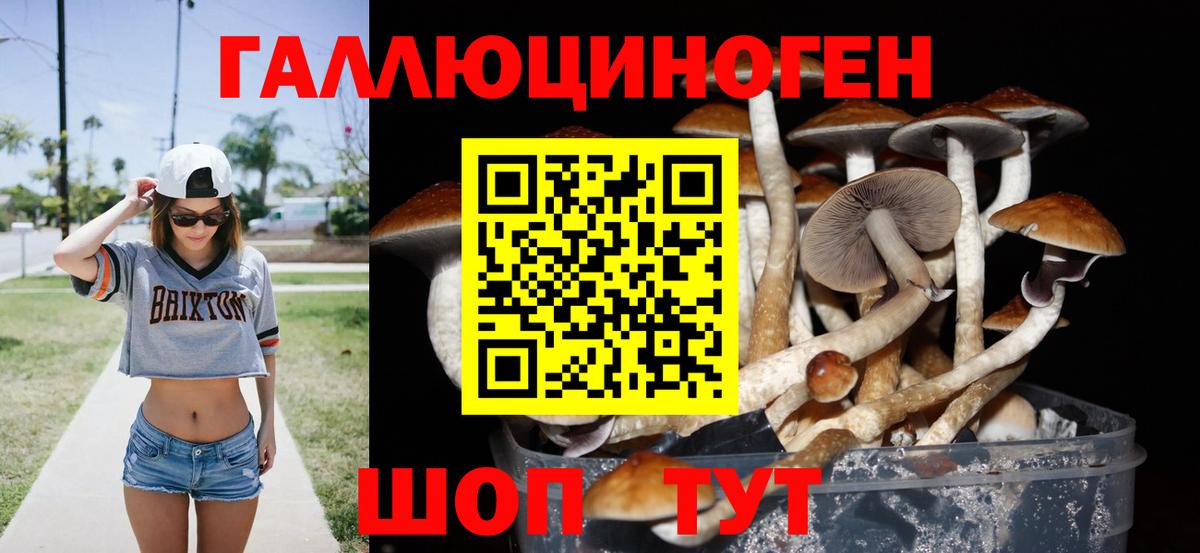 Санкт-Петербург  Галлюциногенные грибы Magic Shrooms  Галлюциногенные грибы Psilocybine cubensis  Вход с VPN 