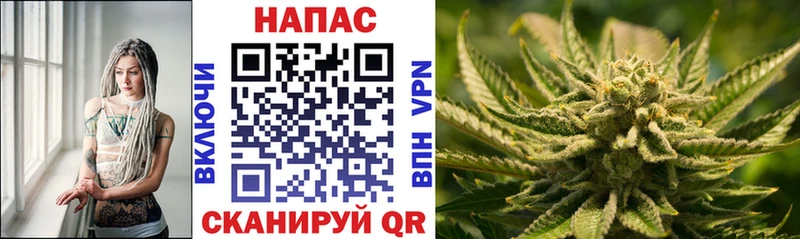 где купить наркотик Санкт-Петербург Бошки Шишки семена